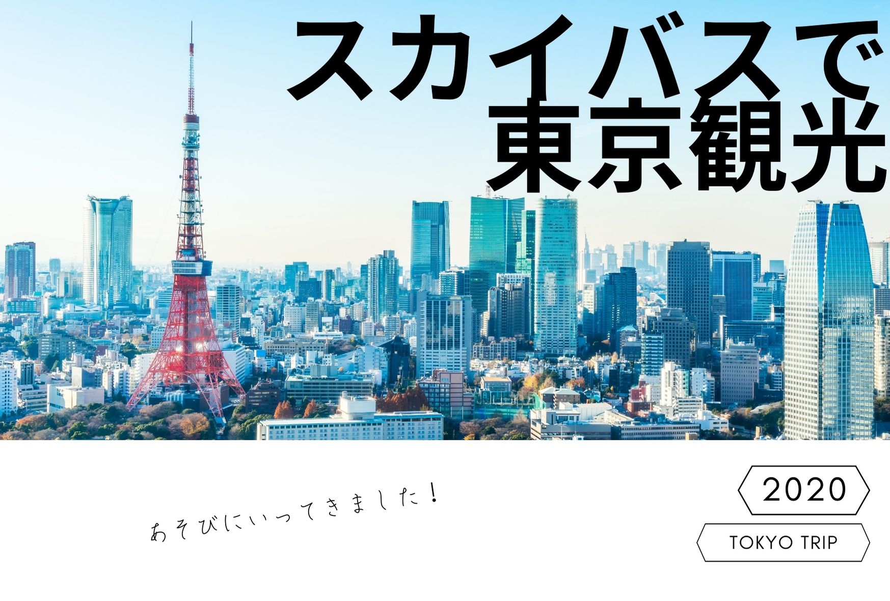 スカイバスで東京観光 株式会社ステラ 渋谷 秋葉原 ベンチャーit会社