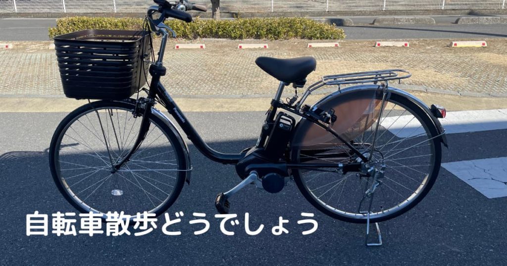 Read more about the article 自転車散歩どうでしょう