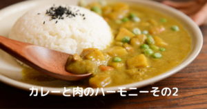 Read more about the article カレーと肉のハーモニーその２