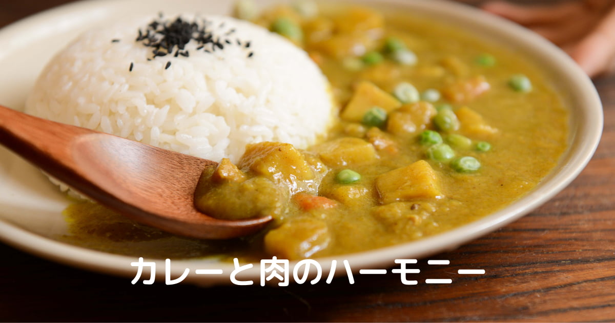 You are currently viewing カレーと肉のハーモニー