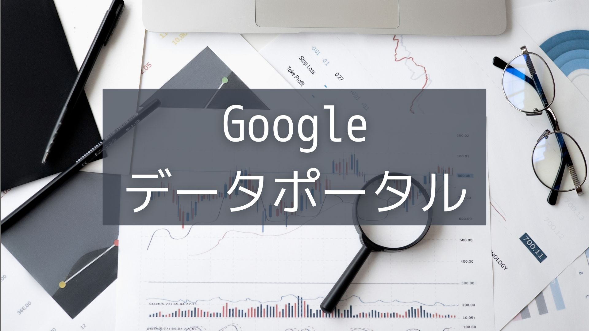 You are currently viewing Googleデータポータル
