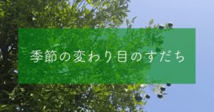 Read more about the article 季節の変わり目のすだち