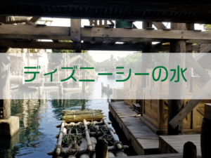 Read more about the article ディズニーシーの水