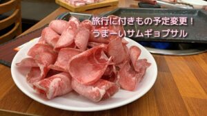 Read more about the article 旅行に付きもの予定変更！うまーい！サムギョプサル