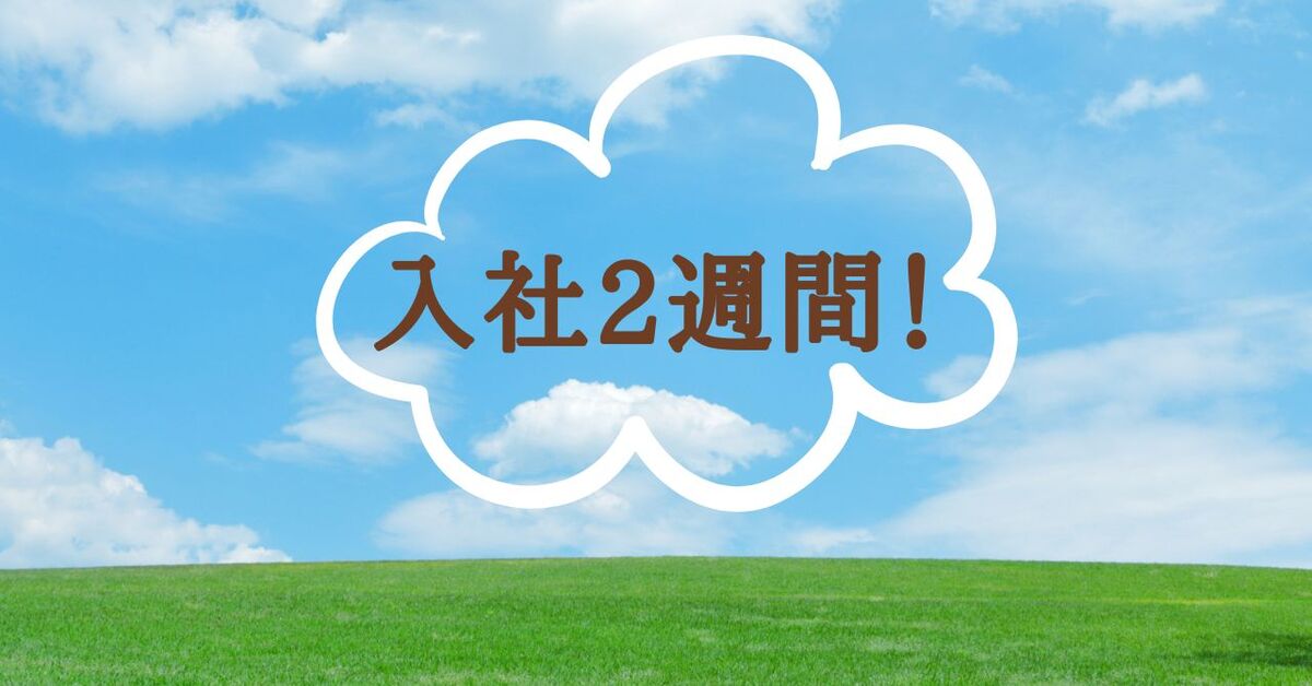 You are currently viewing 入社2週間！