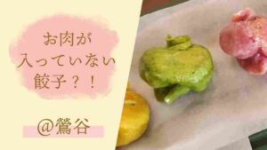 Read more about the article お肉が入っていない餃子？！