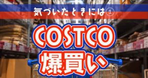 Read more about the article COSTCO爆買い①