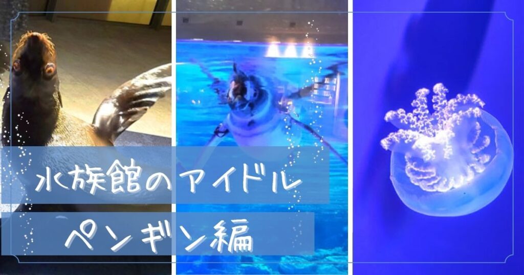 Read more about the article 水族館のアイドル 〜ペンギン編〜