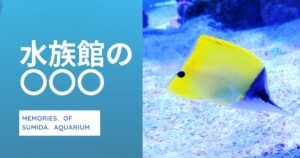 Read more about the article 水族館の〇〇〇