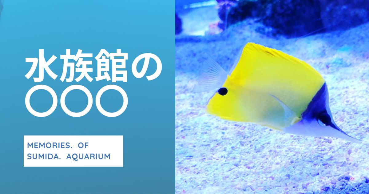 You are currently viewing 水族館の〇〇〇