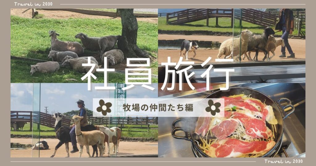 Read more about the article 社員旅行～牧場の仲間たち編～
