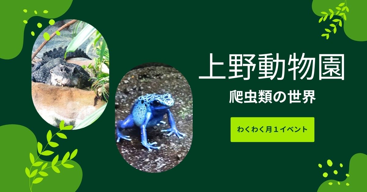 You are currently viewing 上野動物園③爬虫類の世界