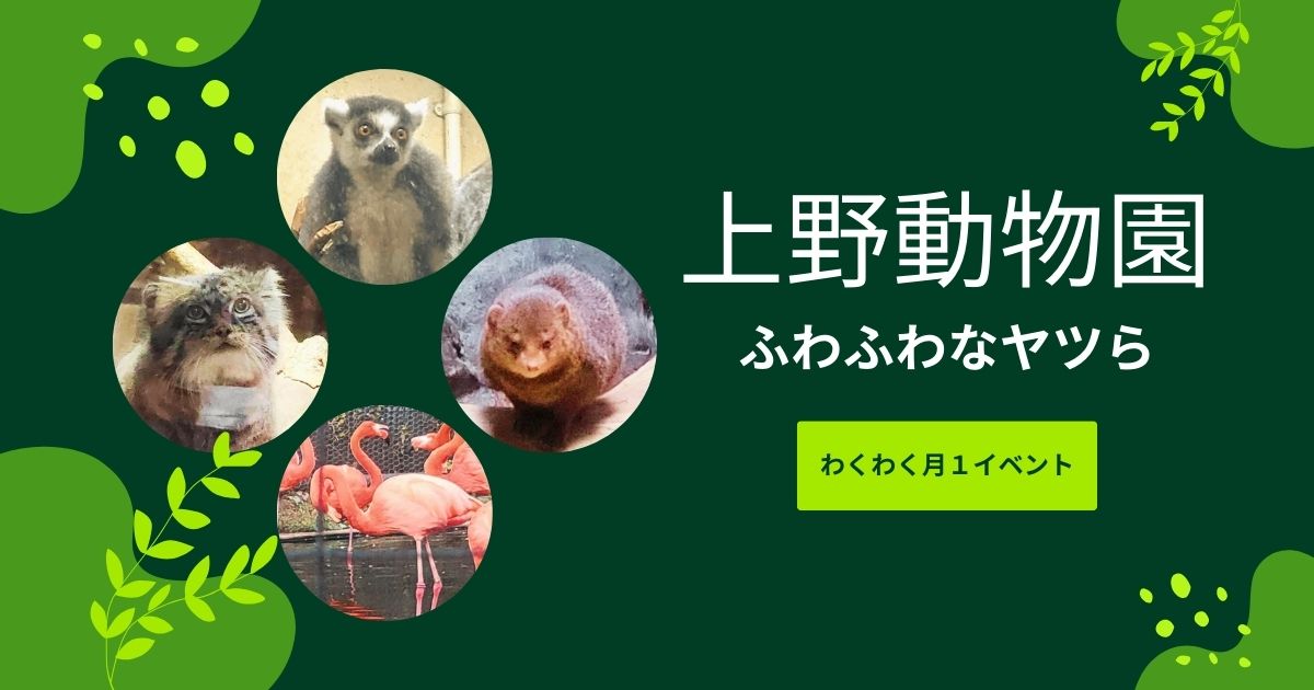 You are currently viewing 上野動物園②ふわふわなヤツら