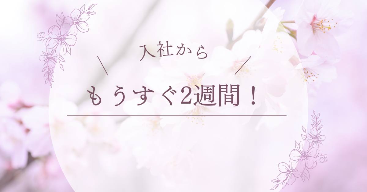 あなたが現在見ているのは もうすぐ2週間！