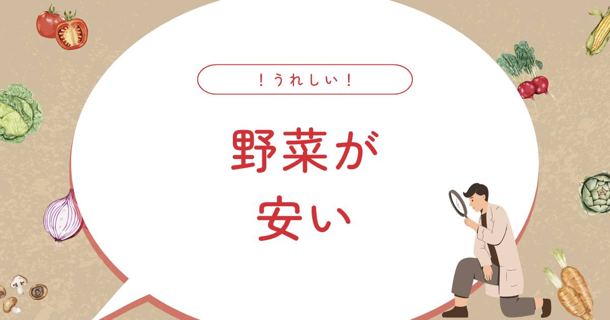 あなたが現在見ているのは 野菜が安い